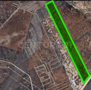 Ciénega De Flores, ولاية نويفو ليون 65550, المكسيك