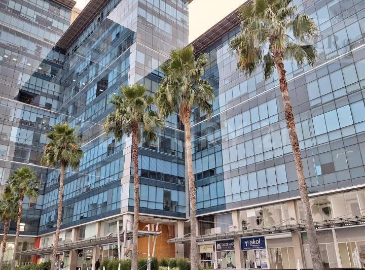 Cuernavaca, מורלוס 62388, מקסיקו 