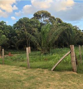 Urubo, Santa Cruz 00001, 玻利维亚