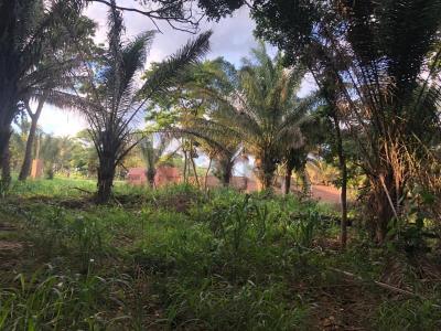 Urubo, Santa Cruz 00001, 玻利维亚