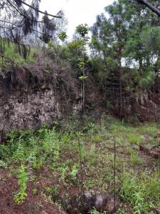 kilometro 16 del junquito Lote de Terreno, Caracas, Distrito Capital 1030, Venezuela