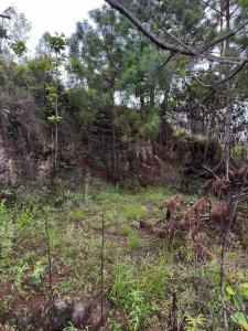 kilometro 16 del junquito Lote de Terreno, Caracas, Distrito Capital 1030, Venezuela