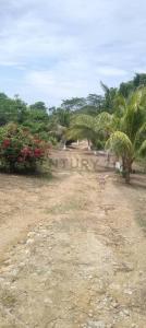 Morrocoy 1, Tucacas, Falcón 2055m, Venezuela