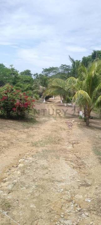 Morrocoy 1, Tucacas, Falcón 2055m, Wenezuela