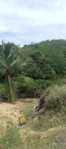 Morrocoy 1, Tucacas, Falcón 2055m, Wenezuela