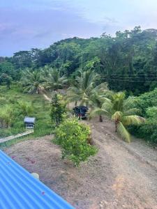 Morrocoy 1, Tucacas, Falcón 2055m, Wenezuela