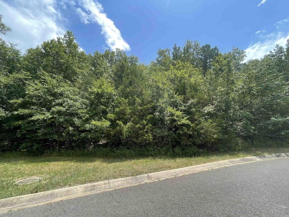 Lot 37 Saratoga Street, Hot Springs, 阿肯色州 71901, 美国