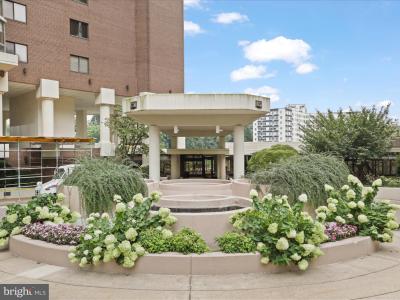 1600 N Oak Street Unit# 524, Arlington, וירג'יניה 22209, ארצות הברית של אמריקה 