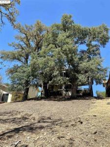 75 Poker Flat rd, Cipperopolis, California 95228