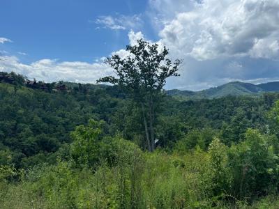 Lot 24 Coopers Hawk Way, Sevierville, Теннесси 37862, Соединенные Штаты