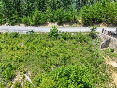 Lot 24 Coopers Hawk Way, Sevierville, Теннесси 37862, Соединенные Штаты