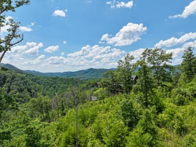 Lot 24 Coopers Hawk Way, Sevierville, Теннесси 37862, Соединенные Штаты