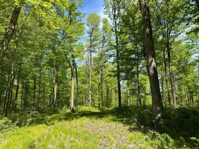 100 AC ON 28th Ave., Maine, Wisconsin 54452, Stati Uniti