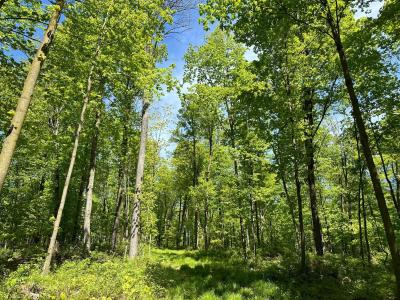 100 AC ON 28th Ave., Maine, Wisconsin 54452, Stati Uniti