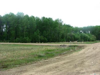 5 FRESNO STREET, Big River Rm No. 555, Saskatchewan S0J 0E0, Canada