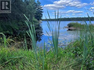 0 CURRY POINT ROAD, Hagar, 安大略省 P0M 2G0, 加拿大