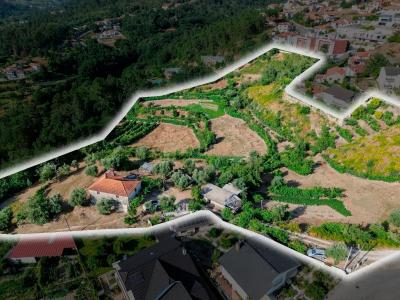 Amarante, 波尔图 4600-786, 葡萄牙