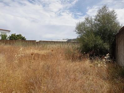 Cáceres, エストレマドゥーラ 10005, スペイン