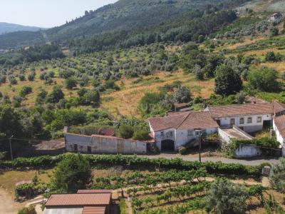 Vila Nova De Poiares, Coimbra 3350-054, Portugal