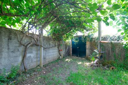 Vila Nova De Poiares, Coimbra 3350-054, Portugal