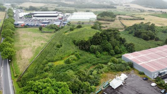 Ribeira Grande, São Miguel 9600-175, Portekiz