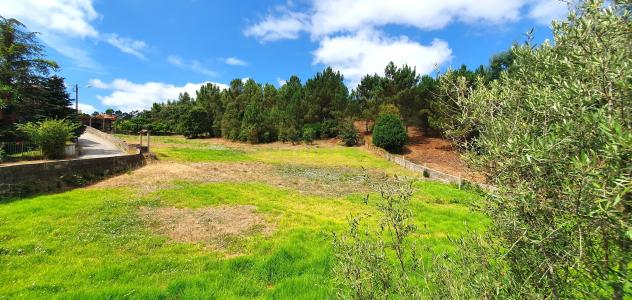 科英布拉, 科英布拉 3045-076, 葡萄牙