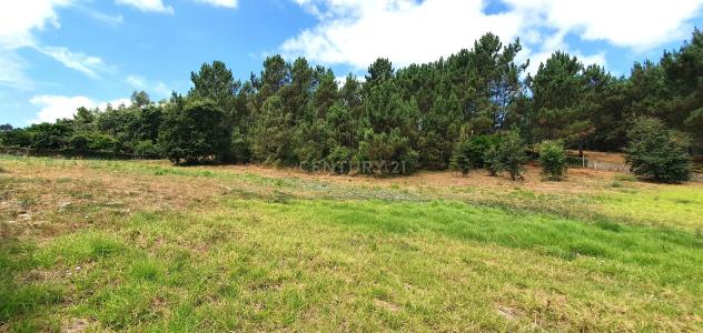 科英布拉, 科英布拉 3045-076, 葡萄牙