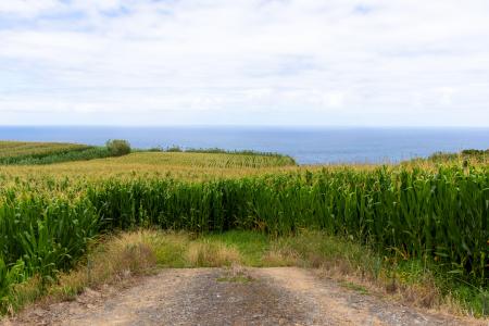Nordeste, 聖米格爾島 9630, 葡萄牙