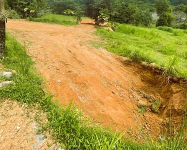 Tres Ríos Puerto Cortés Osa, Puntarenas 00001, Costa Rica