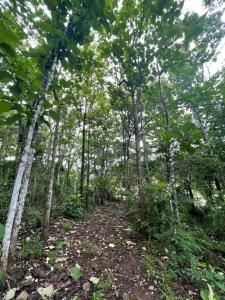 La Cruz La Cruz, Guanacaste 00001, Costa Rica