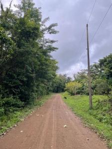La Cruz La Cruz, Guanacaste 00001, 哥斯达黎加