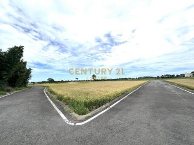 大坡段大坡小段, 新屋區, Taoyuan 327, Taiwán