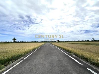 大坡段大坡小段, 新屋區, Taoyuan 327, Taiwán