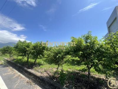 利家段, Beinan Township, Taitung County 954, Taiwan