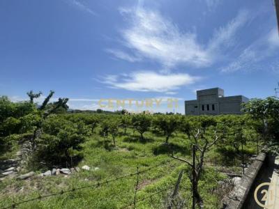 利家段, Beinan Township, Taitung County 954, Taiwan