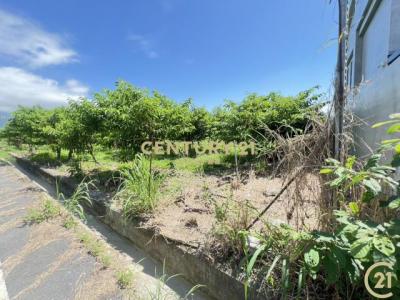 利家段, Beinan Township, Taitung County 954, Taiwan