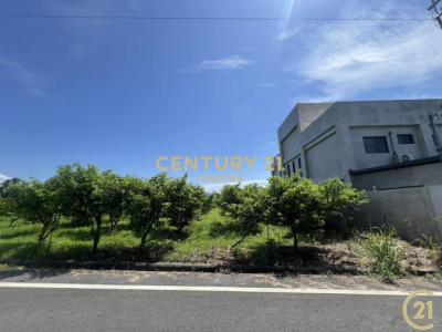 利家段, Beinan Township, Taitung County 954, Taiwan