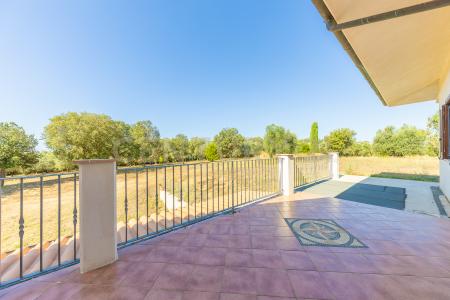 Strada di Campomorto, Montalto Di Castro, Lazio 01014, Italia