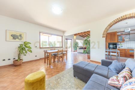 Strada di Campomorto, Montalto Di Castro, Lazio 01014, Italia