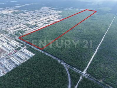 Cancún/Benito Juárez, Quintana Roo 77500, Mexico