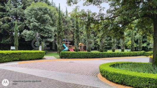 Barranca de Tarango 80,, Alvaro Obregón, Ciudad De México 01588, Mexico