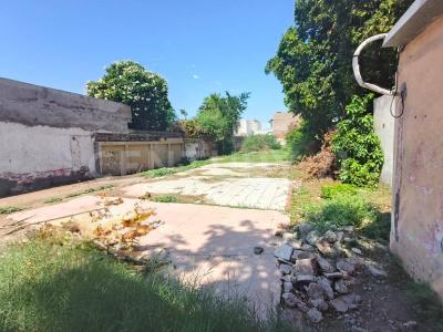 Cajeme, Sonora 85010, Mexico