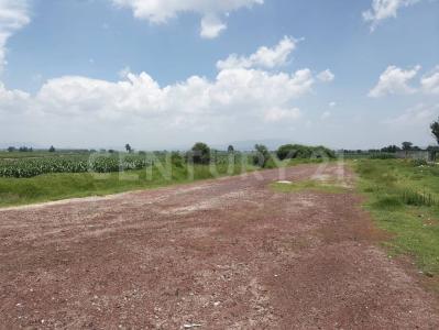 Nopalucan, プエブラ 75120, メキシコ