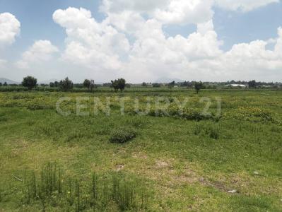 Nopalucan, プエブラ 75120, メキシコ