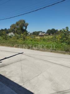 Teoloyucan, Estado De México 54786, México