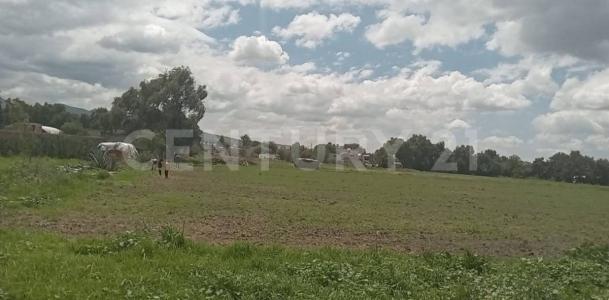 Teoloyucan, Estado De México 54786, México