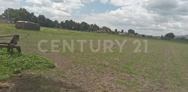 Teoloyucan, Estado De México 54786, México