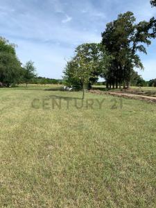 Av. Lorenzo Casey 2000, Luján, GBA Oeste 6700, Argentina