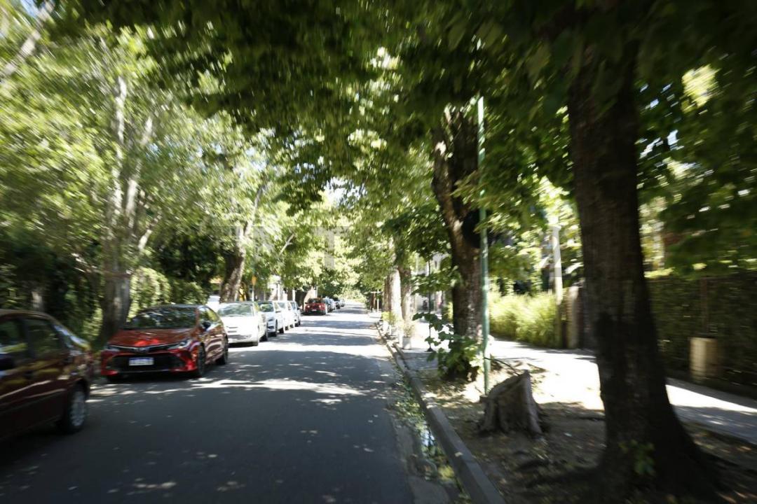 13 C Entre Cantilo y 472 , La Plata, GBA Sur 00001, Argentina