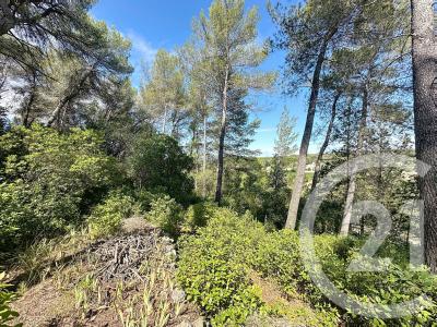 Castelnau Le Lez, Languedoc-Roussillon 34170, France